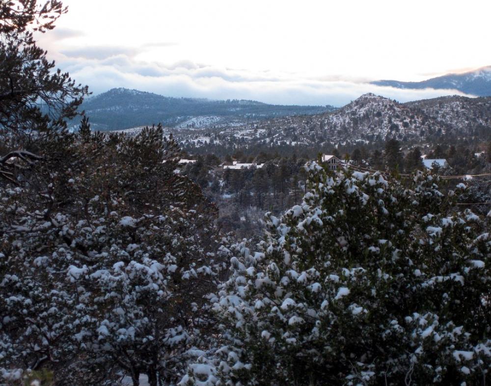 Prescott National Forest Hassayampa Prescott National Forest Hassayampa