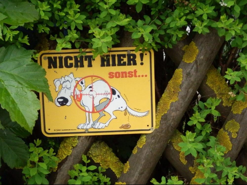 Prohibitory Dog Ban Dog Shield Ban Fence Prohibitory Dog Ban Dog Shield Ban Fence