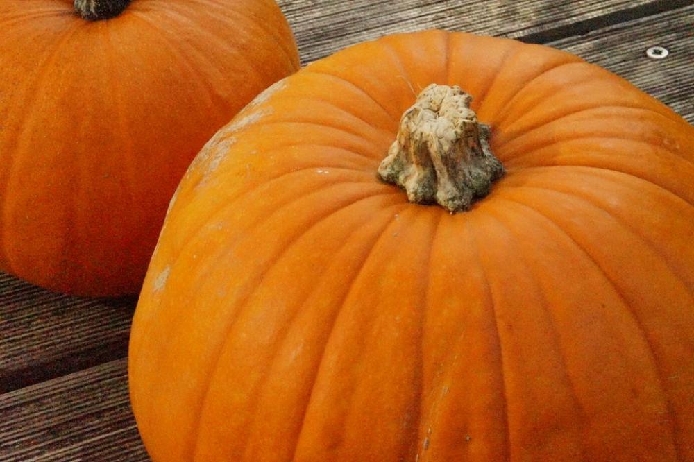 Pumpkin Pumpkins Orange Bright Autumn Pumpkin Pumpkins Orange Bright Autumn