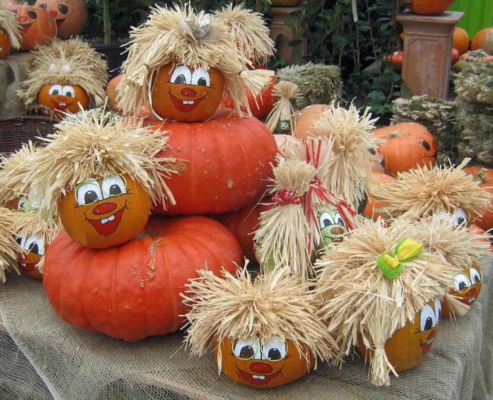 Pumpkin Gourd Harvest Thanksgiving Colorful Red Pumpkin Gourd Harvest Thanksgiving Colorful Red