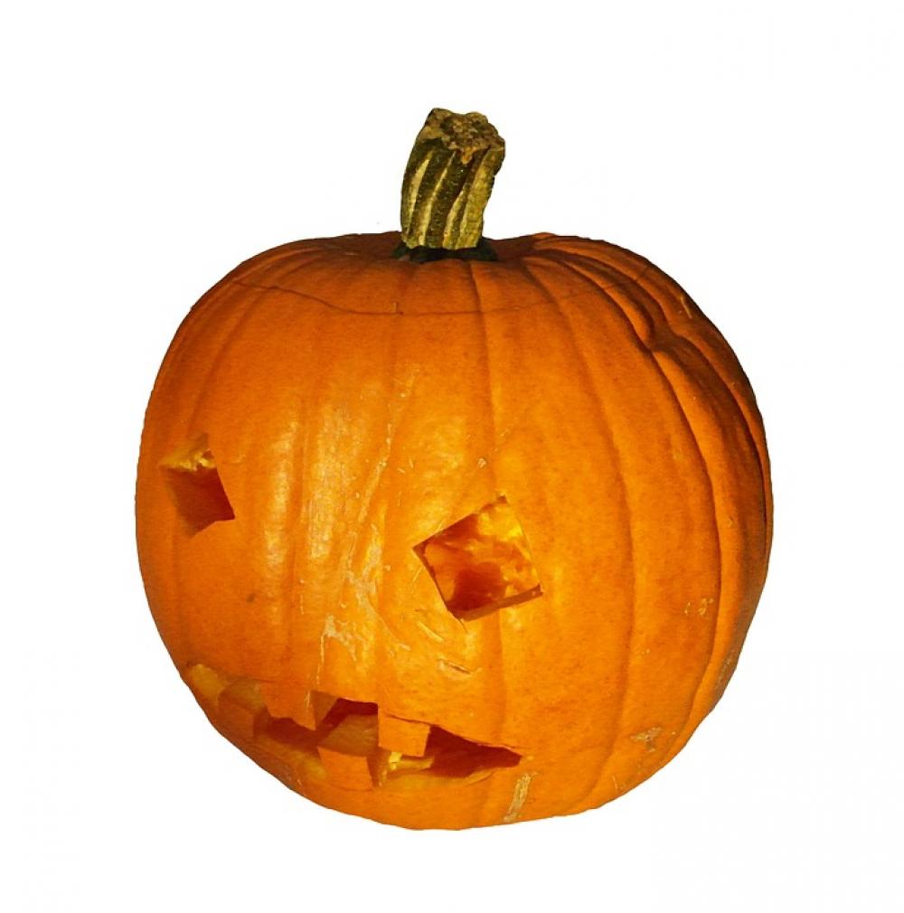 Pumpkin Gourd Harvest Thanksgiving Orange Autumn Pumpkin Gourd Harvest Thanksgiving Orange Autumn