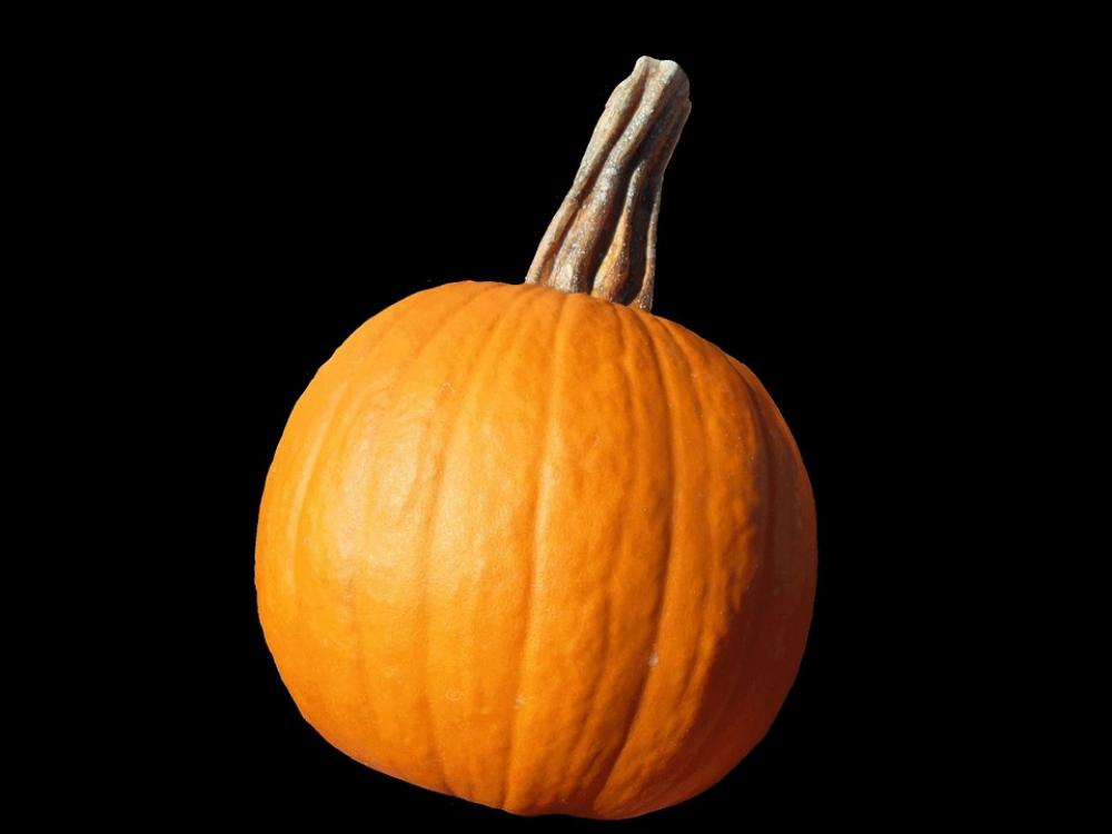 Pumpkin Vegetable Pumpkins Vegetables Plants Flora Pumpkin Vegetable Pumpkins Vegetables Plants Flora