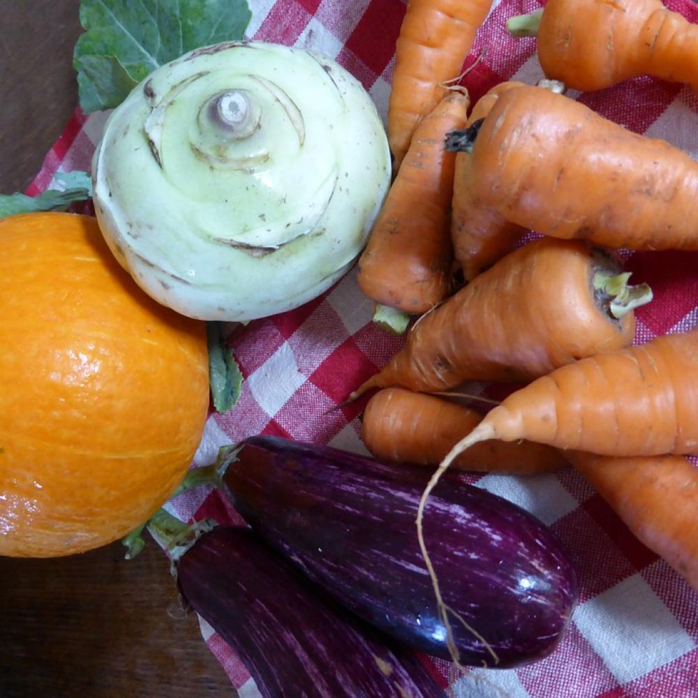 Pumpkin Carrots Eggplant Cook Food Eat Delicious Pumpkin Carrots Eggplant Cook Food Eat Delicious