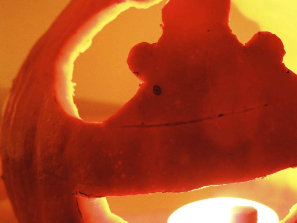 Pumpkin Dark Halloween Autumn Candlelight Pumpkin Dark Halloween Autumn Candlelight