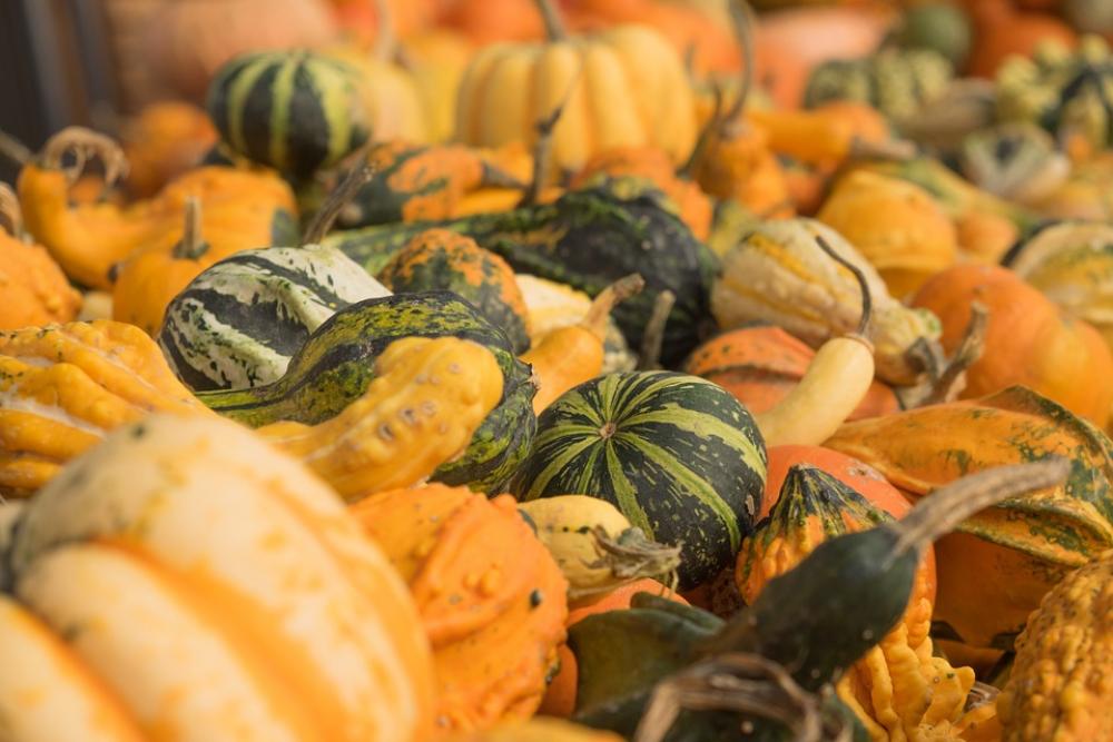 Pumpkins Autumn Orange Yellow Gourd Decoration Pumpkins Autumn Orange Yellow Gourd Decoration