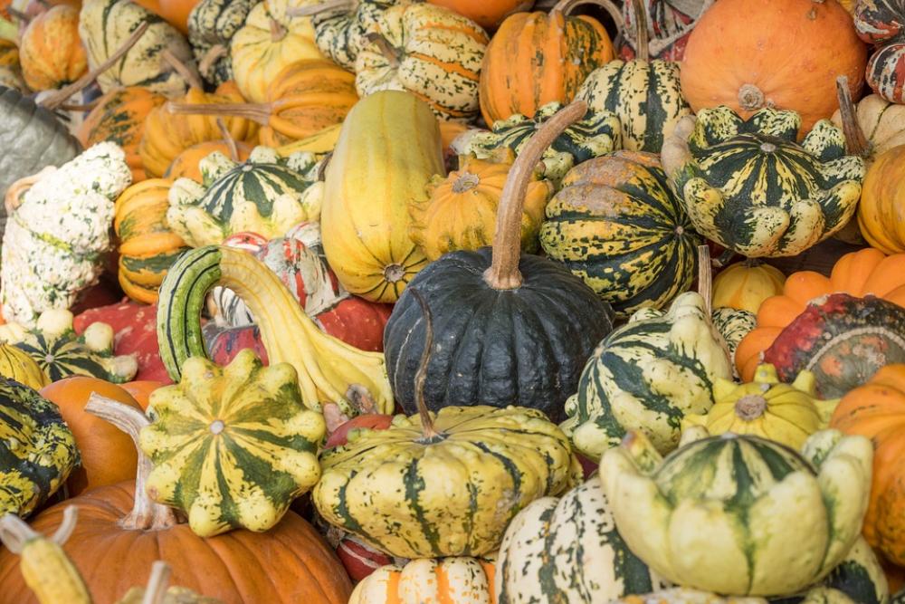 Pumpkins Autumn Orange Yellow Gourd Decoration Pumpkins Autumn Orange Yellow Gourd Decoration