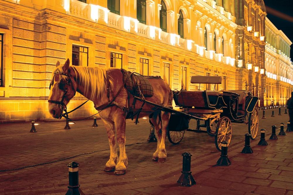 Quito Ecuador Horse Historic Centre Quito Ecuador Horse Historic Centre