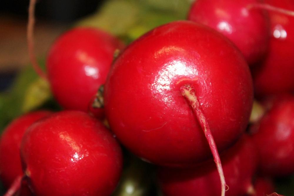 Radishes Radish Vegetables Radishes Radish Vegetables