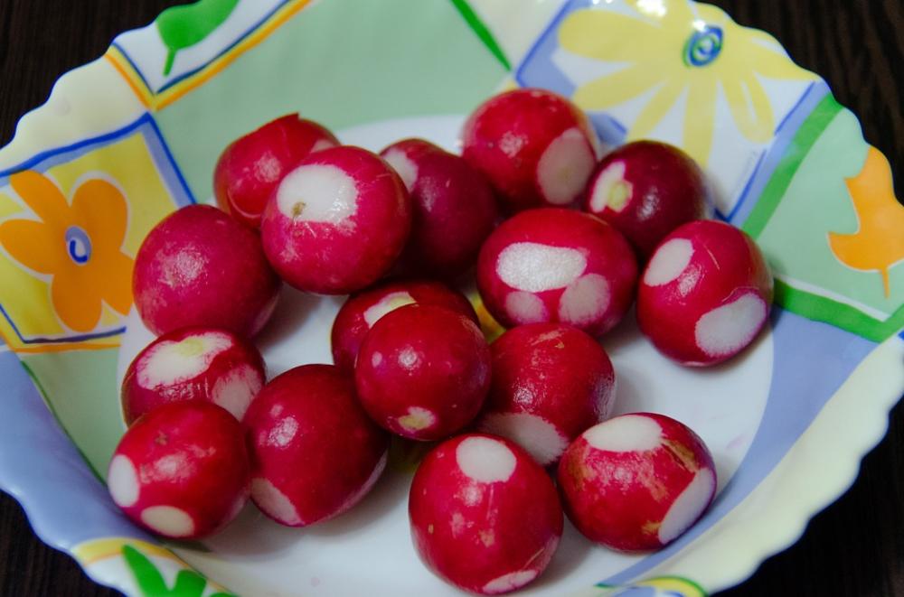 Radishes Root Crop Red Plate Radishes Root Crop Red Plate