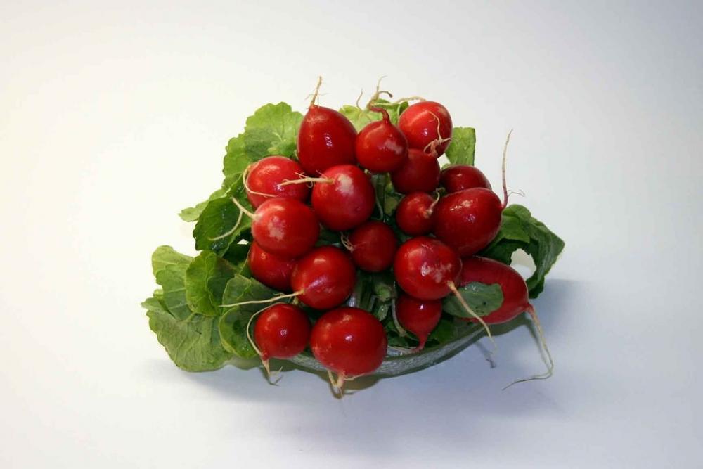 Radishes Vegetables Radish Salad Eat Food Edible Radishes Vegetables Radish Salad Eat Food Edible