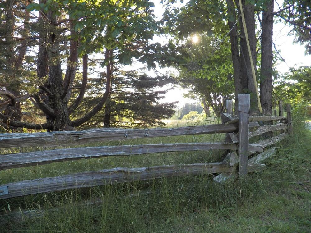 Rail Rail Fence Wooden Fence Fences Meadow Grass Rail Rail Fence Wooden Fence Fences Meadow Grass