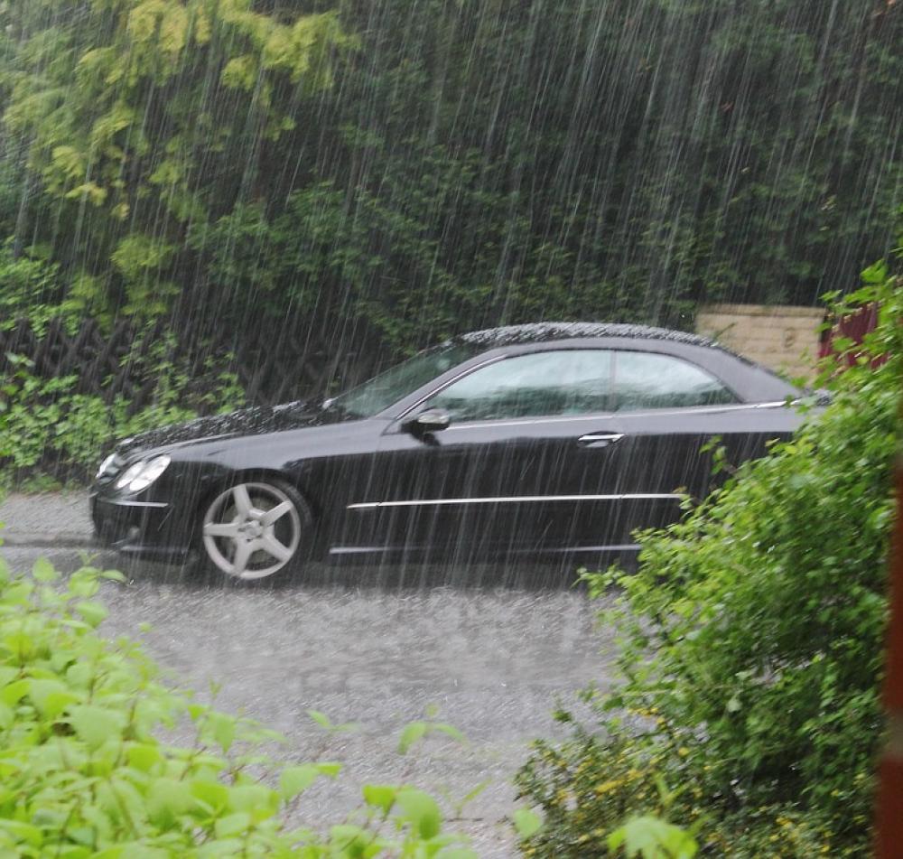Rain Auto Plant Weather Bad Weather Storm Rain Auto Plant Weather Bad Weather Storm