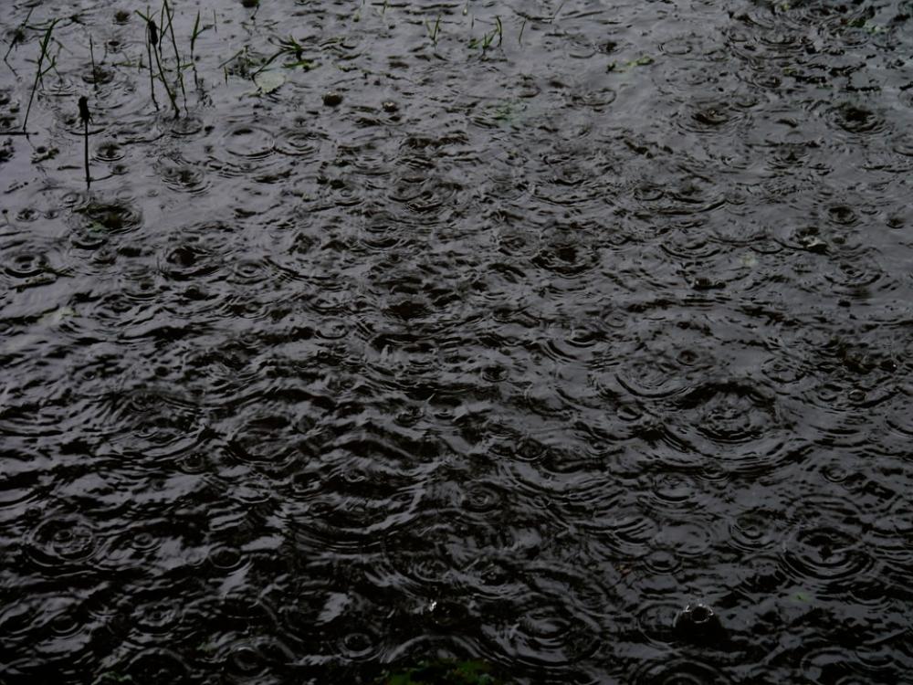 Rain Raindrop Puddle Weather Storm Water Rain Raindrop Puddle Weather Storm Water