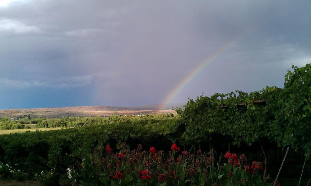 Rainbow Winery South Africa Norhern Cape Landscape Rainbow Winery South Africa Norhern Cape Landscape