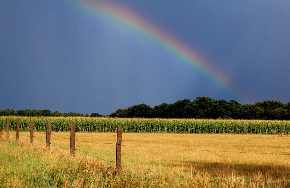 Rainbow Autumn Natural Spectacle Sky Rainbow Autumn Natural Spectacle Sky