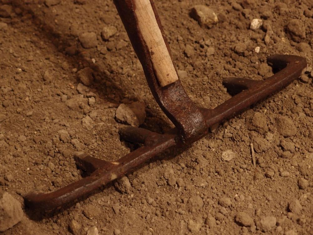 Rake Field Agriculture Dienteyerro Traditional Rake Field Agriculture Dienteyerro Traditional