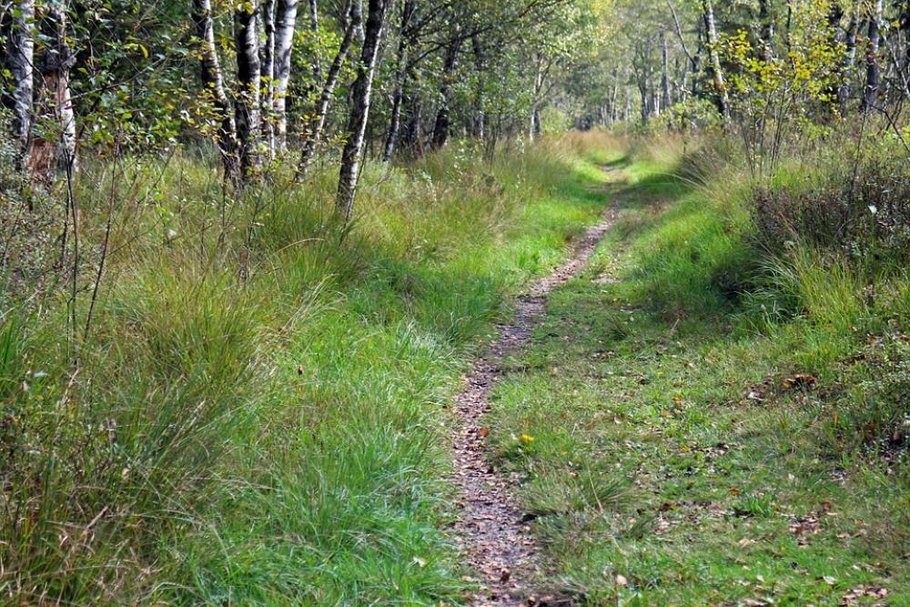 Recovery Leisure Away Path Promenade Trail Nature Recovery Leisure Away Path Promenade Trail Nature