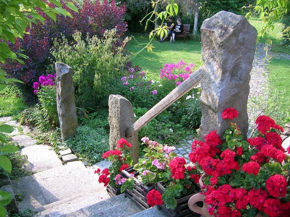 Red Flowers Garden Nature Flowers Plant Red Flowers Garden Nature Flowers Plant