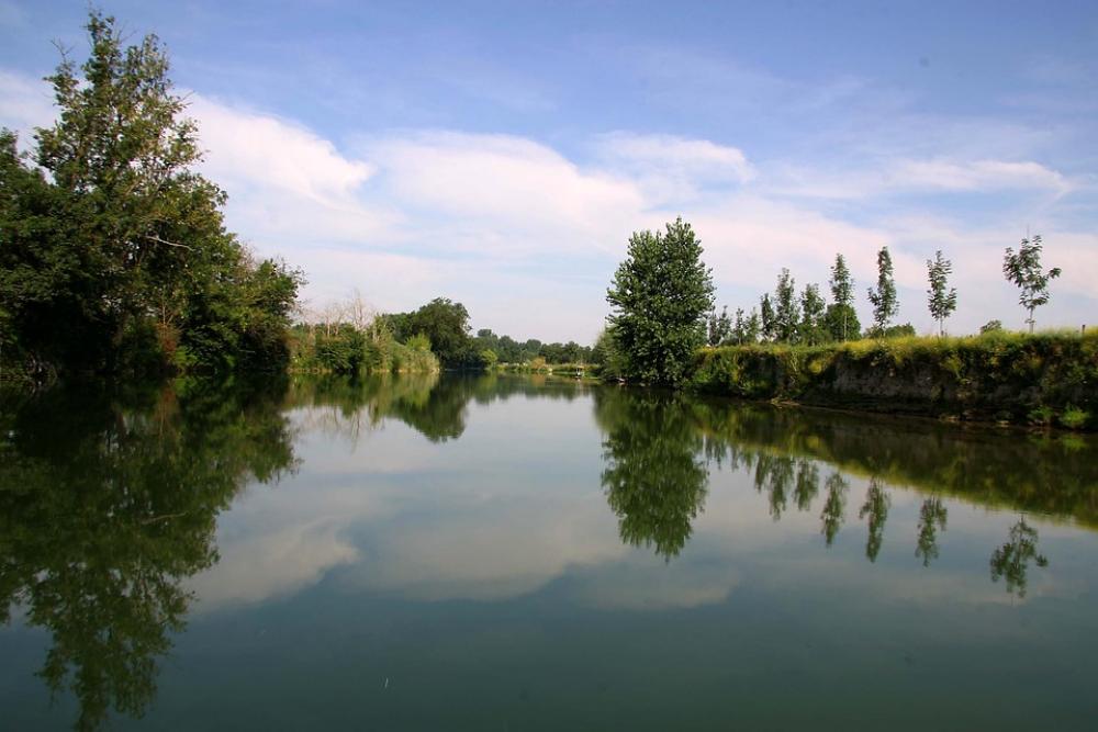 Reflections Trees River Mirror Water Charente Reflections Trees River Mirror Water Charente