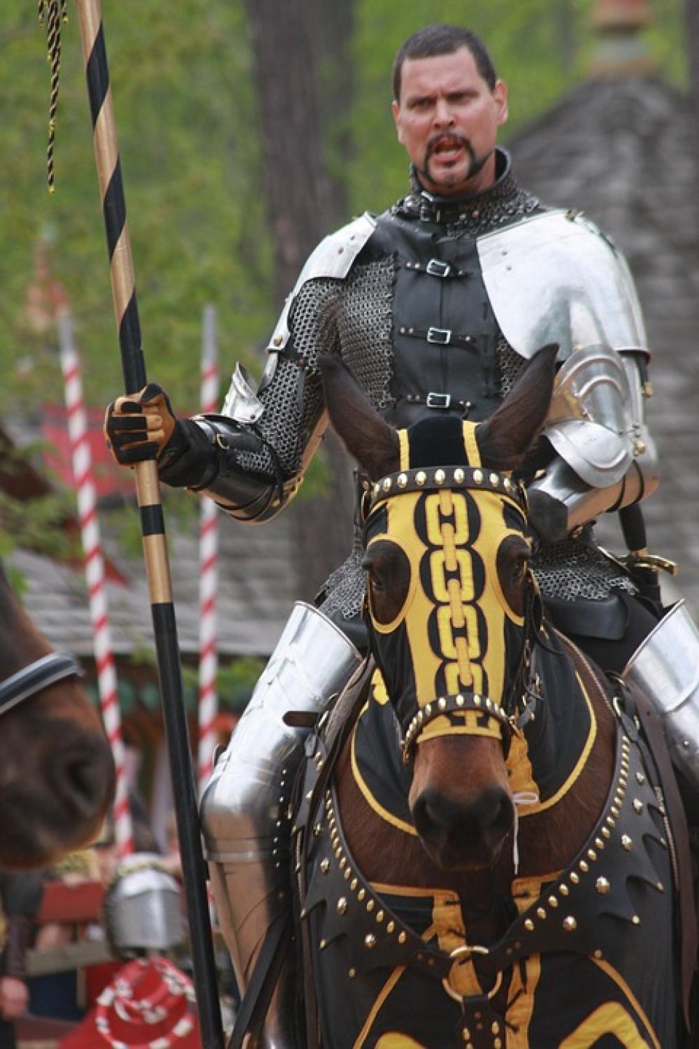 Renascence Fair Night Horse Joust Sword Amour Renascence Fair Night Horse Joust Sword Amour