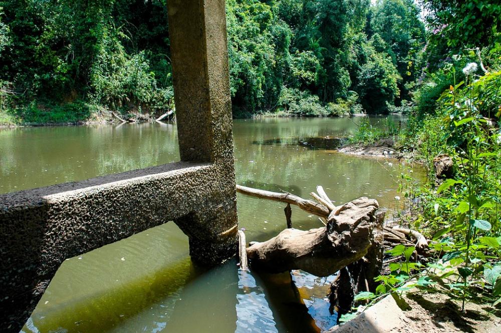 River River Landscape Of The Bridge River River Landscape Of The Bridge