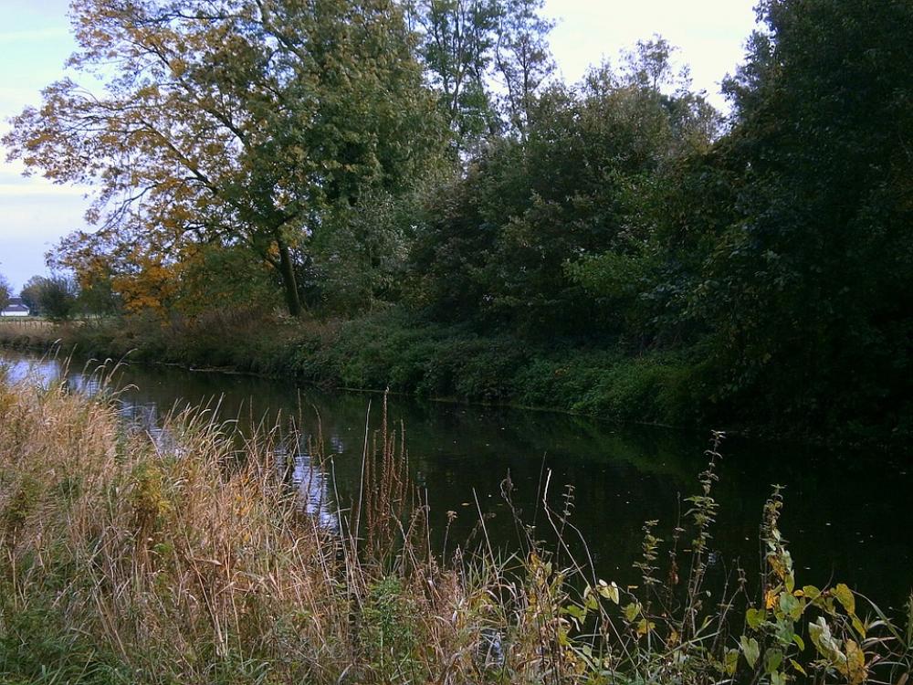 River Bank Waters Water Savage Grasses Shrubs River Bank Waters Water Savage Grasses Shrubs