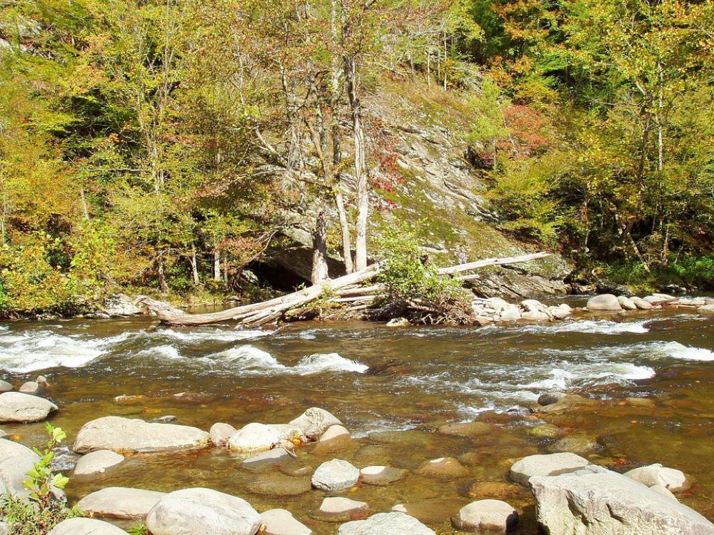 River Water Nature Forest Trees Outdoors River Water Nature Forest Trees Outdoors