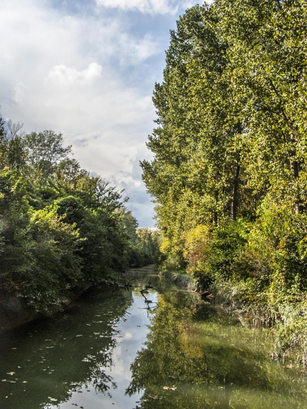 River Trees Nature Reflection Danube Water River Trees Nature Reflection Danube Water