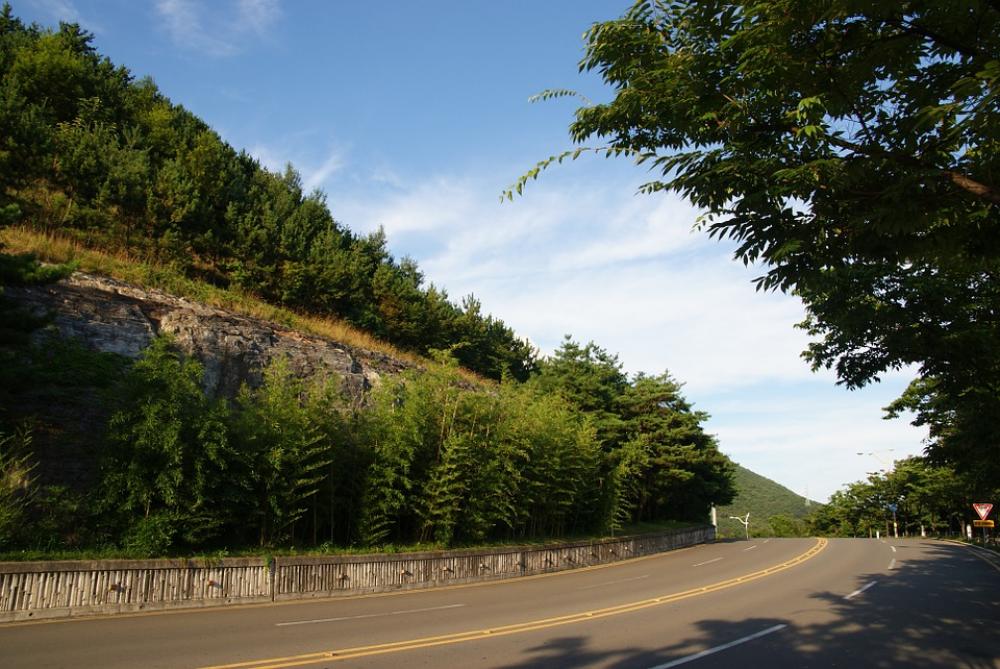 Road Gil Forest Landscape Nature Mountain Asphalt Road Gil Forest Landscape Nature Mountain Asphalt