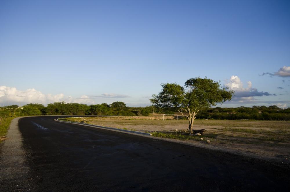 Road Highway Sky Tree Paving Path Lane Asphalt Road Highway Sky Tree Paving Path Lane Asphalt