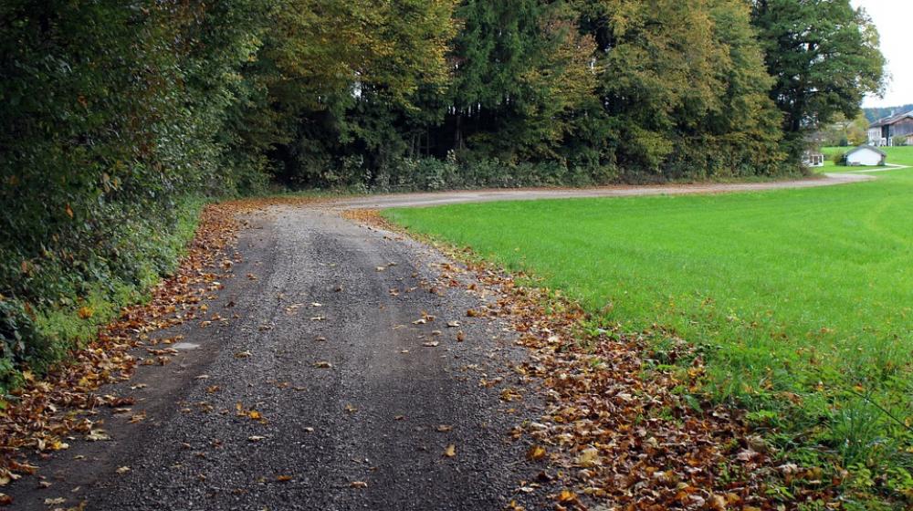 Road Away Nature Autumn Meadow Green Lane Road Away Nature Autumn Meadow Green Lane