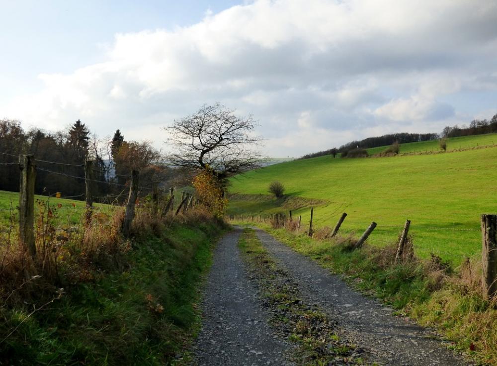 Road Landscape Tree Fence Nature Luxembourg Road Landscape Tree Fence Nature Luxembourg