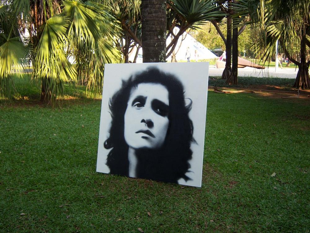Roberto Carlos Ibirapuera Lawn Roberto Carlos Ibirapuera Lawn