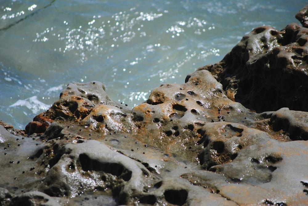 Rocks Ocean Water Pacific Summer Coast Rocks Ocean Water Pacific Summer Coast
