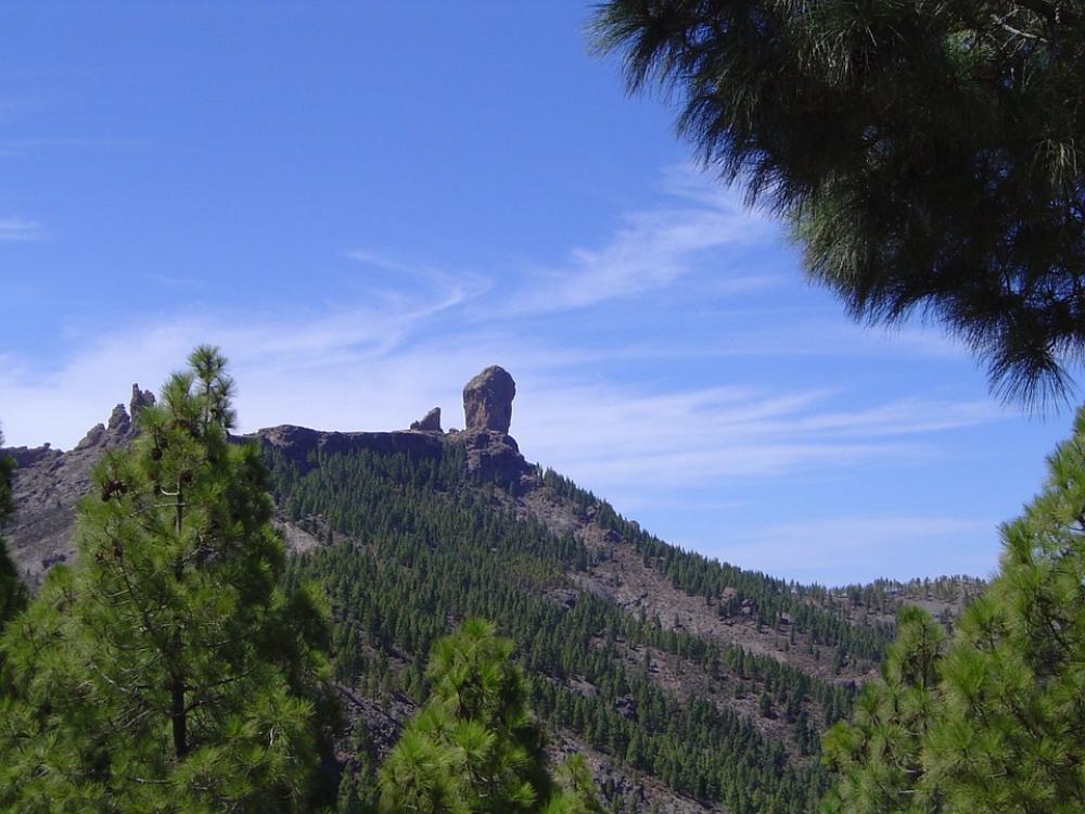 Roque Pine Gran Canaria Roque Pine Gran Canaria