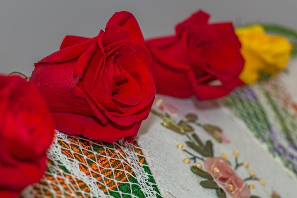 Rose Red Rose Flower Decoration Rose Red Rose Flower Decoration
