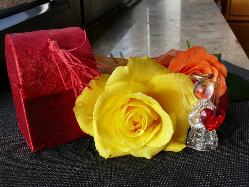 Rose Loop Blossom Bloom Roses Flowers Yellow Rose Loop Blossom Bloom Roses Flowers Yellow