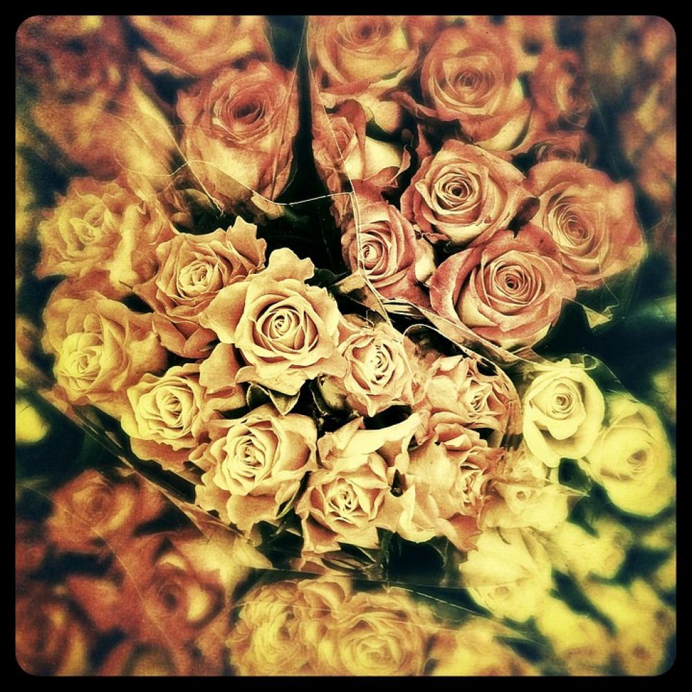 Roses Flowers Flower Valentine'S Day Roses Flowers Flower Valentine'S Day