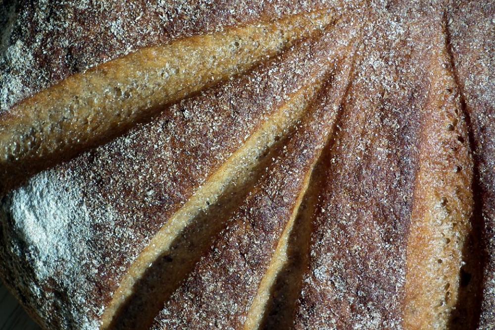 Rye Bread Food Baking Brown Delicious Rye Bread Food Baking Brown Delicious