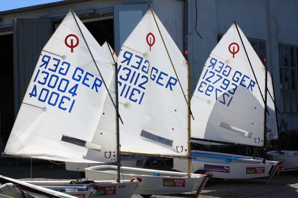 Sail Sailing Boat Boats Optimist Regatta Sail Sailing Boat Boats Optimist Regatta