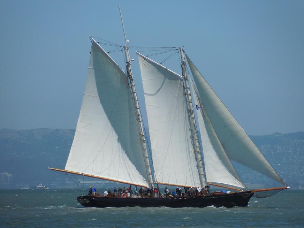 Sailing Boat Water Bay Sailing Boat Sails Sky Sailing Boat Water Bay Sailing Boat Sails Sky