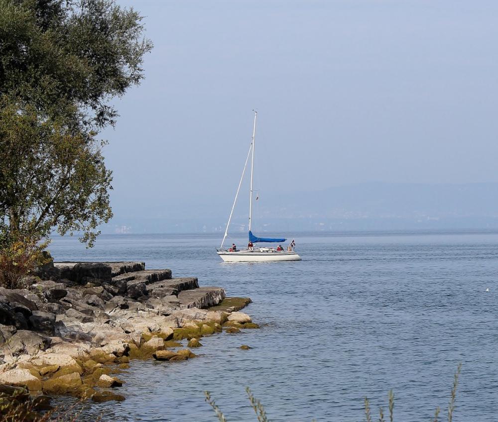 Sailing Boat Boat Lake Constance Bank Romanshorn Sailing Boat Boat Lake Constance Bank Romanshorn