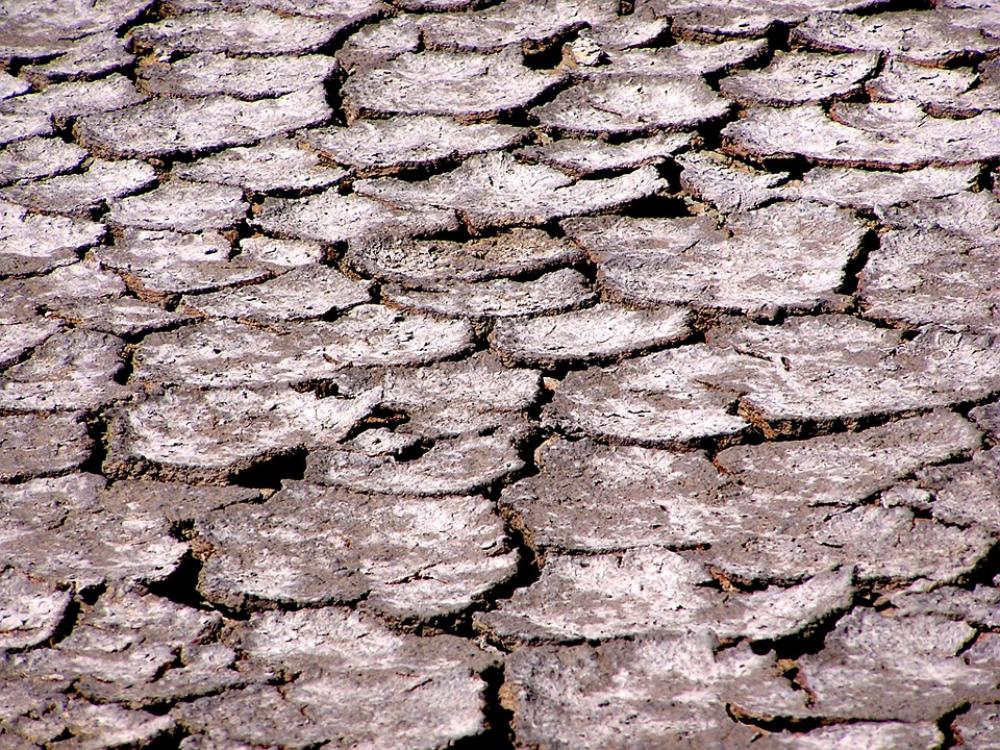 Saline The Ground Cracked Drought Saline The Ground Cracked Drought