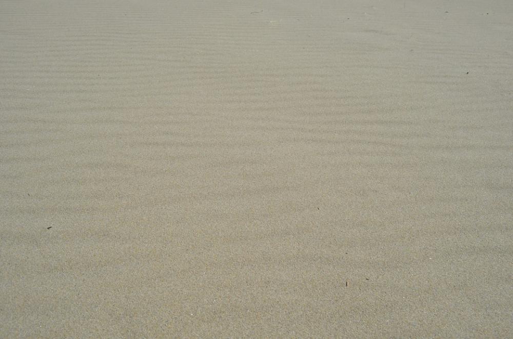 Sand Waves Wind Sand Waves Wind