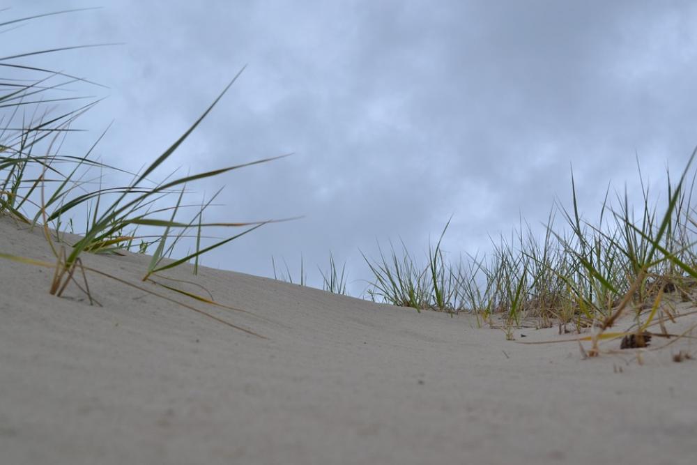 Sand Dunes Beach Sand Nature Sand Dunes Beach Sand Nature