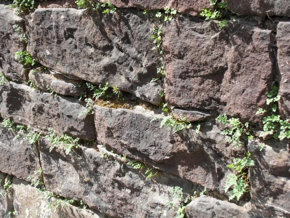 Sand Stone Sandstone Wall Natural Stone Weave Block Sand Stone Sandstone Wall Natural Stone Weave Block