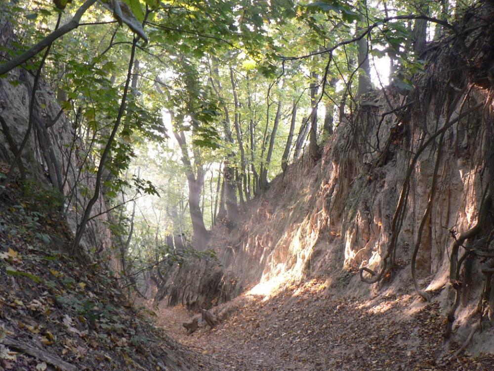 Sandomierz St Gorge Jadwigi Poland Nature Sandomierz St Gorge Jadwigi Poland Nature