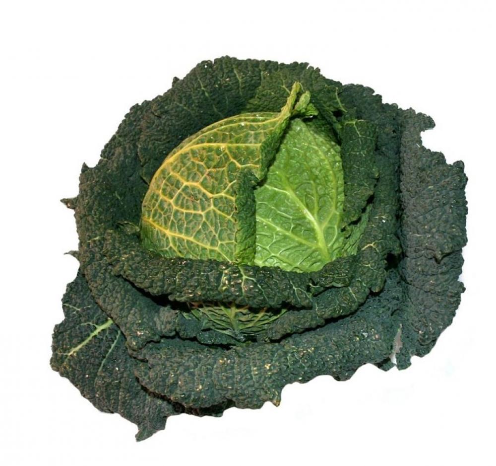 Savoy Vegetables Kohl Healthy Vitamins Eat Food Savoy Vegetables Kohl Healthy Vitamins Eat Food