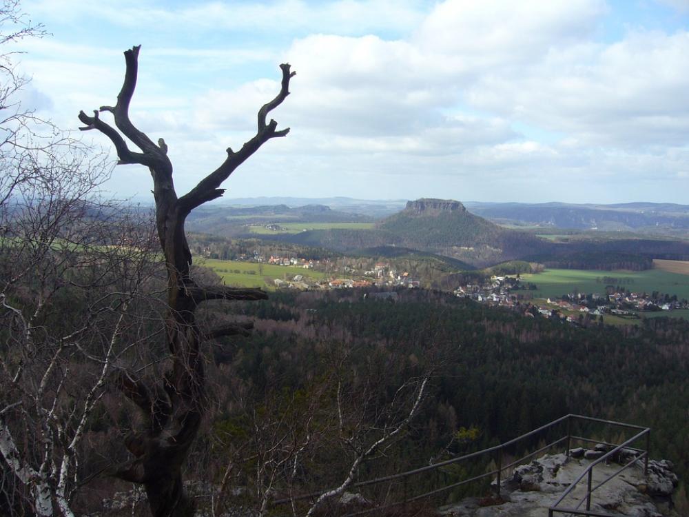 Saxon Switzerland Lily Stone Landscape Nature Saxon Switzerland Lily Stone Landscape Nature