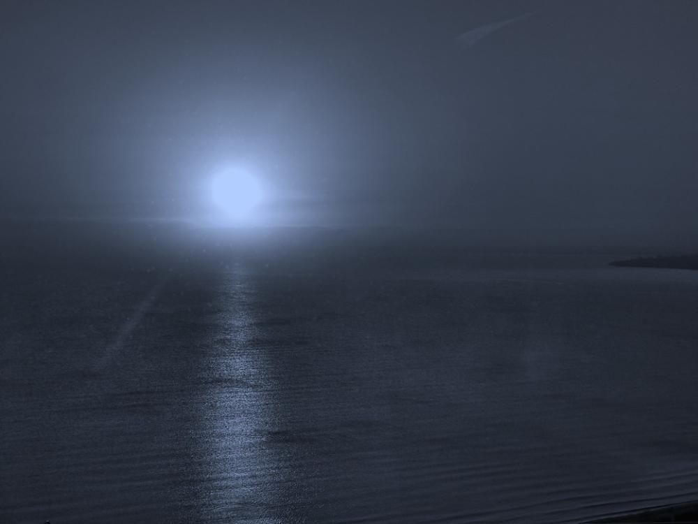 Sea Moon Night Sea Moon Night